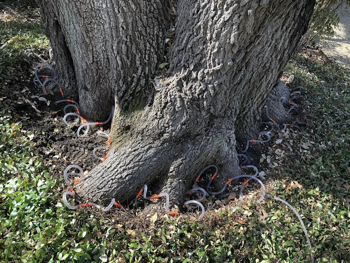 Detailed Shrub and Hedge Trimming job site in Troy Grove