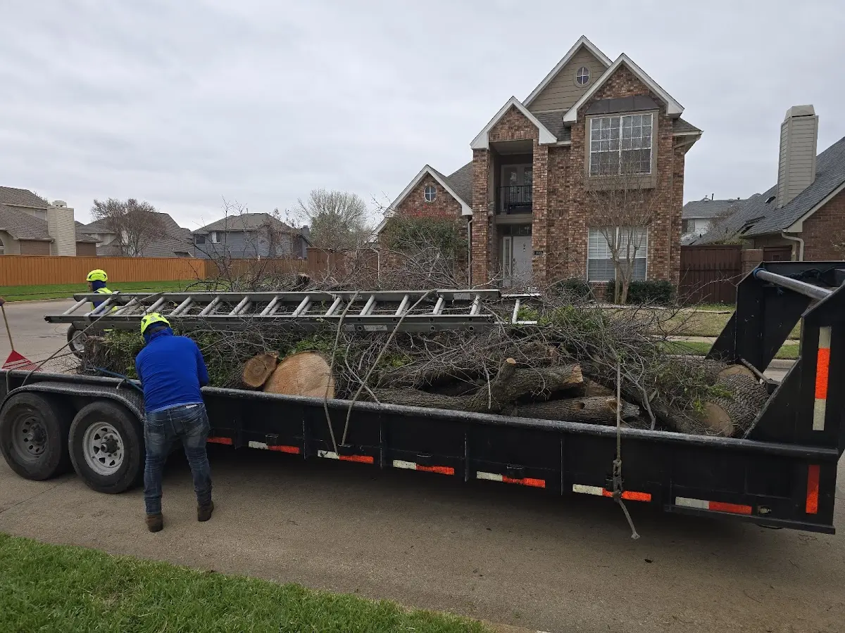 Expert Tree Fertilization with proper safety equipment in Troy Grove
